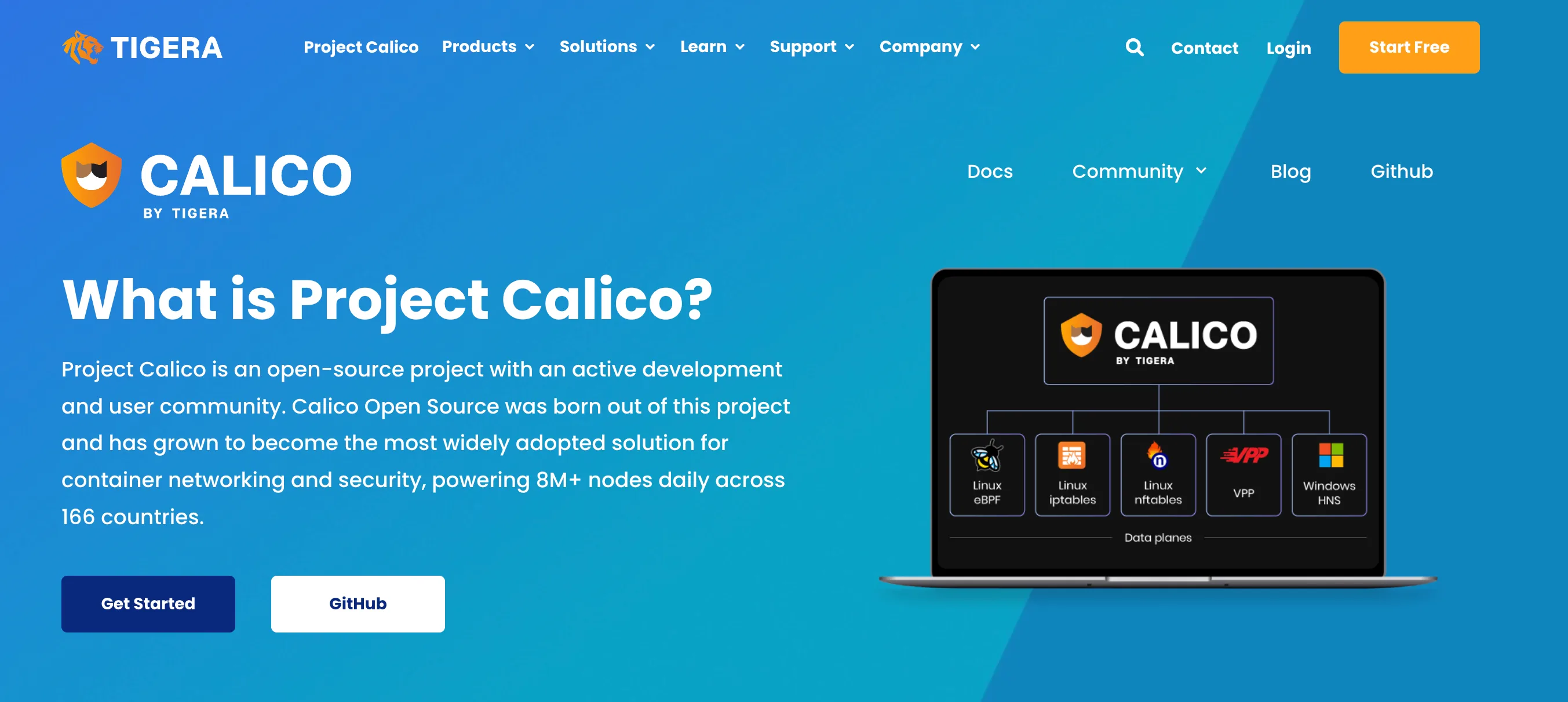 Calico
